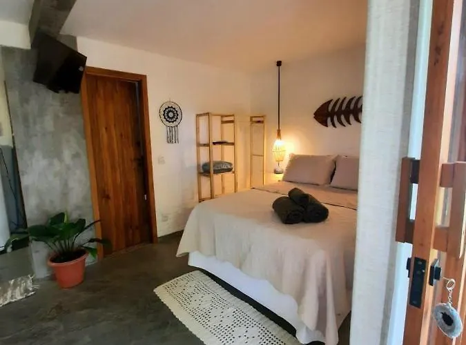 Estudio Lirios Seu Cantinho Ecologico Na Natureza