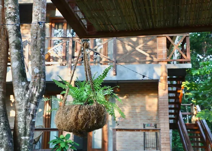 Estudio Lirios Seu Cantinho Ecologico Na Natureza