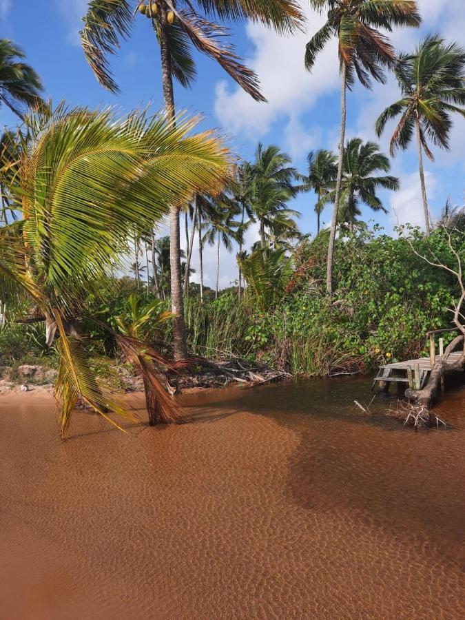 Chalet Estudio Lirios Seu Cantinho Ecologico Na Natureza Marau (Bahia)