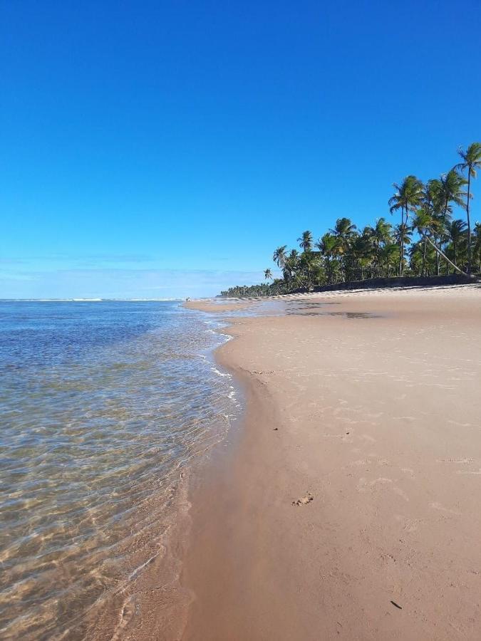 Estudio Lirios Seu Cantinho Ecologico Na Natureza *