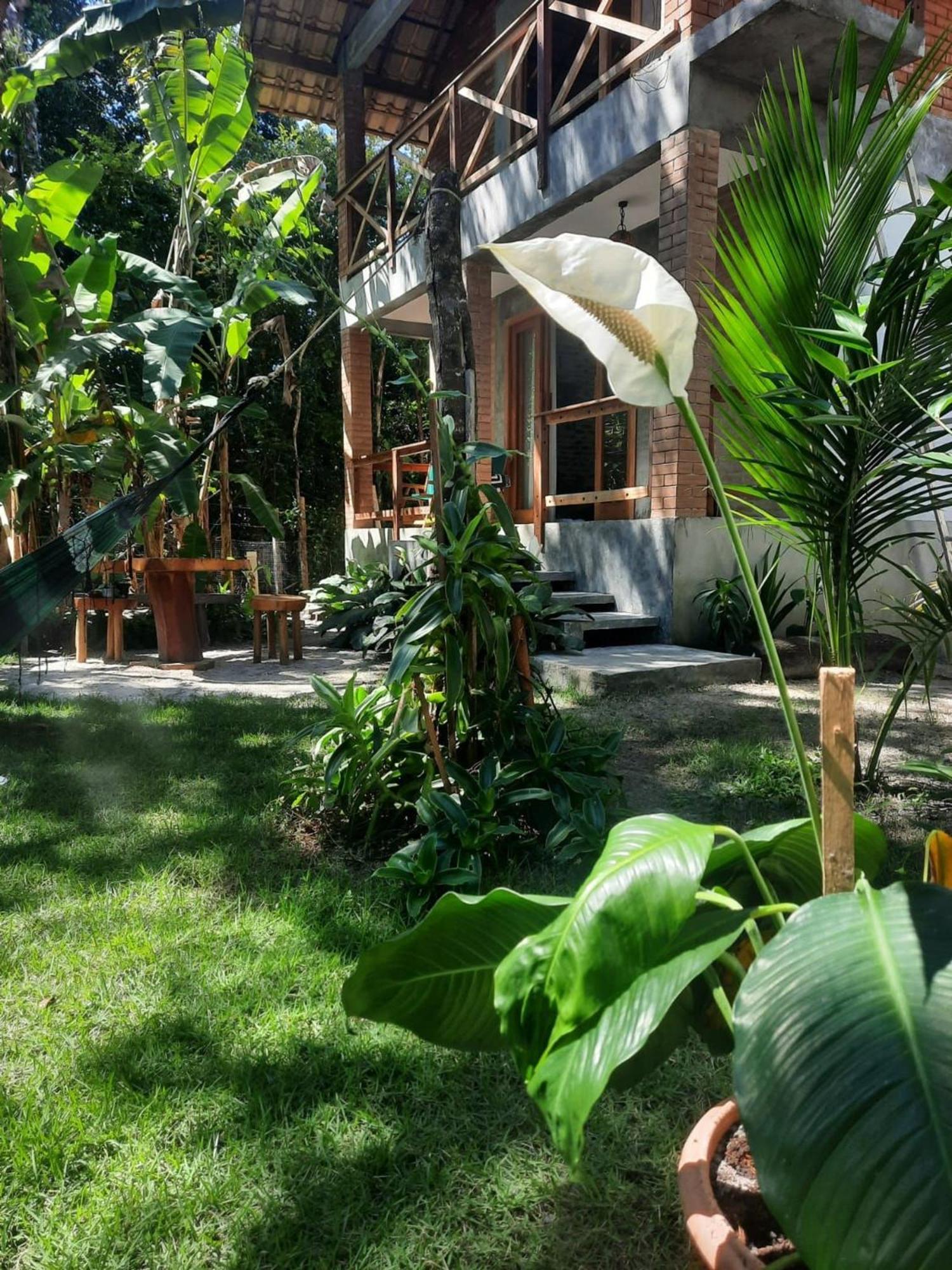 Estudio Lirios Seu Cantinho Ecologico Na Natureza *