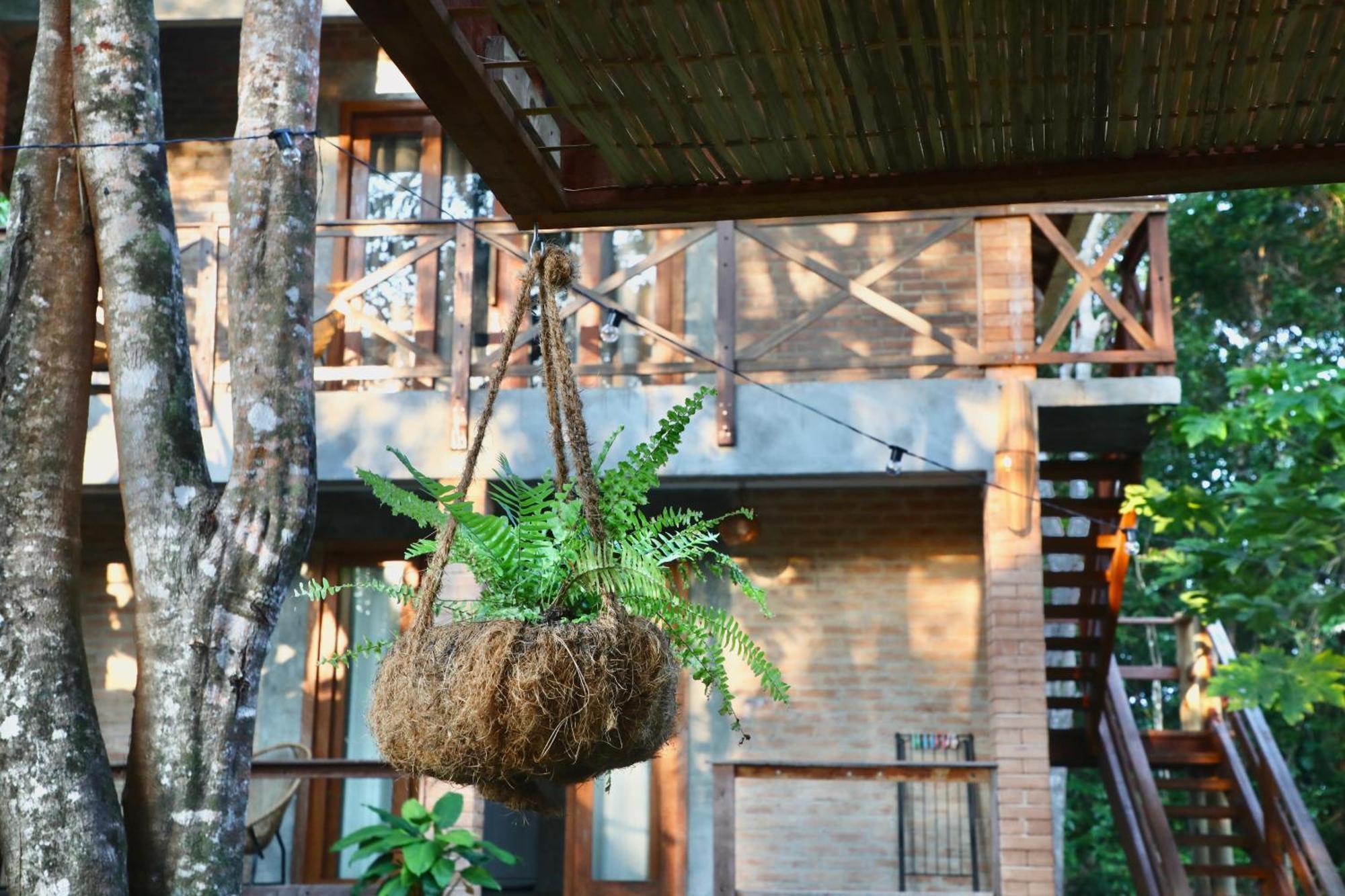 Estudio Lirios Seu Cantinho Ecologico Na Natureza Chalet